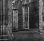 Rivaul pilars from neg 1600 cropped 2. 2021b